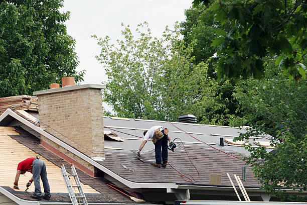 Best Roof Gutter Cleaning  in Big Coppitt Key, FL